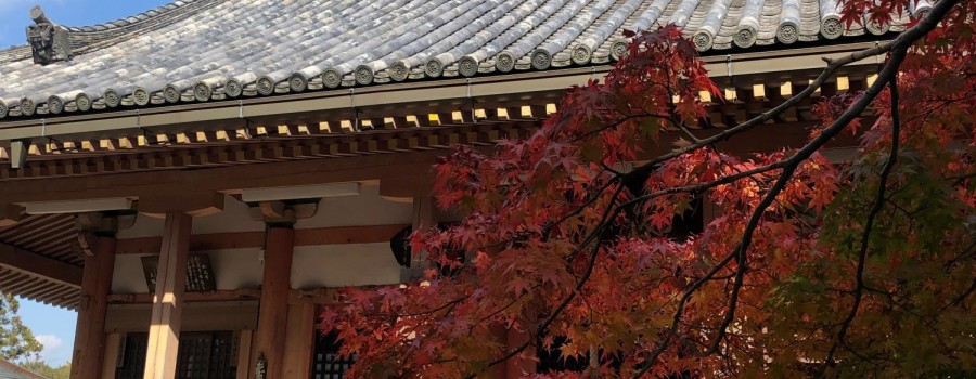 Japanese 1