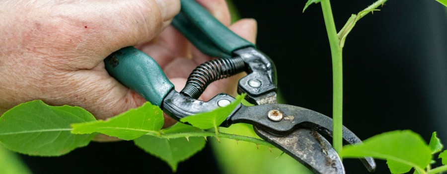 margarita-shtyfura-ko79z5L-too-unsplash