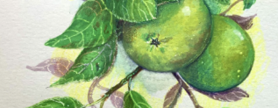 Caroline Miekina - Drawing and painting for all