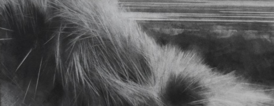 Brian Morrow - Charcoal