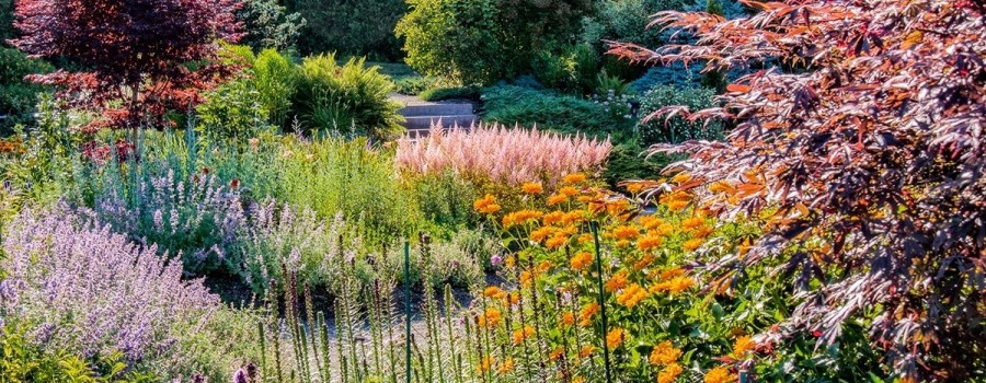 gardening for year round colour