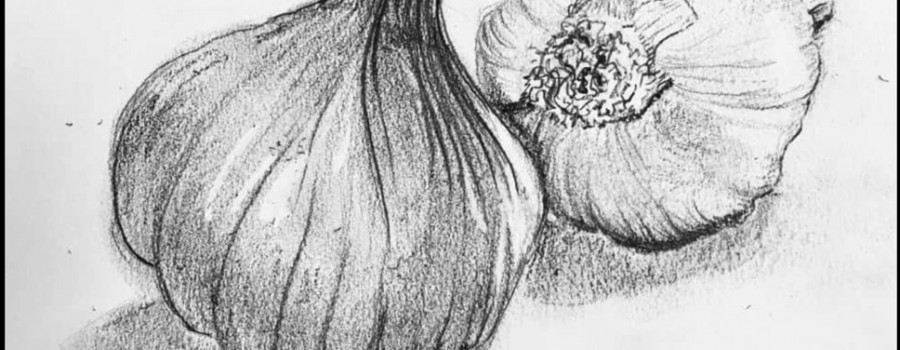 Fiona Odle 3 - Copy