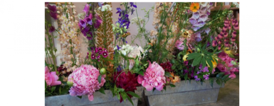 English Summer Flowers Meadow.jpg