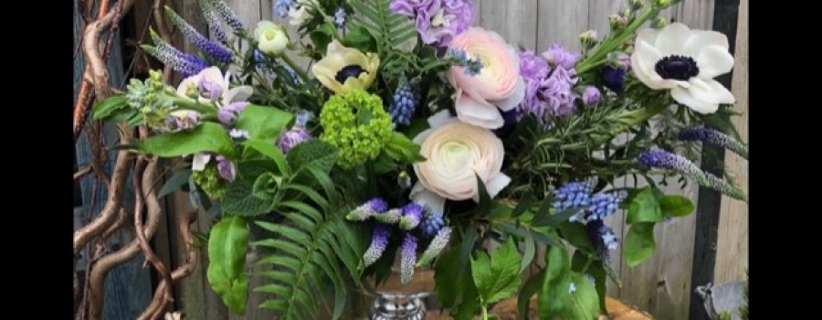 Trailing Summer Flowers