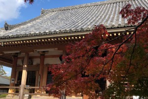 Japanese 1