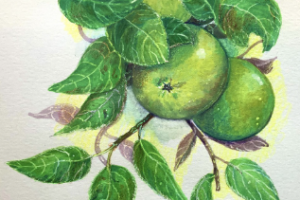 Caroline Miekina - Drawing and painting for all