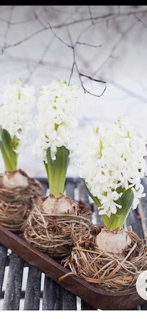 floristry beginners 2 spring